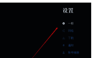 设置中的一般选项界面