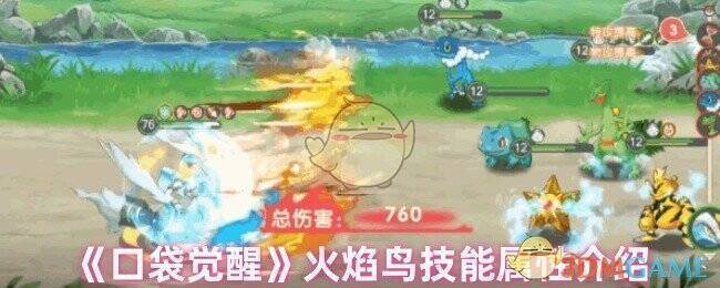 火焰鸟相关图片1