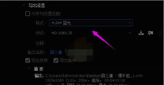 PR 软件导出设置格式选择界面
