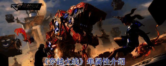 穿越火线隼角色图片