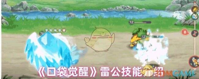 口袋觉醒雷公相关图片