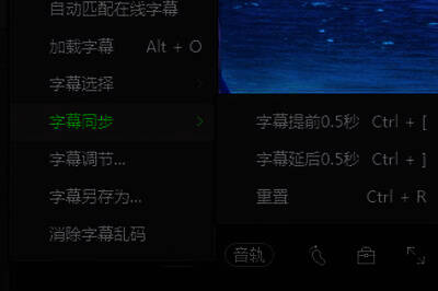 爱奇艺万能播放器字幕同步菜单图