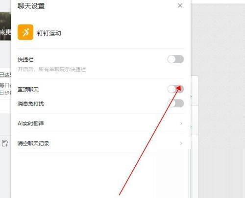 设置页面中的置顶聊天选项