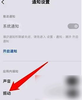 潮汐 APP 通知设置页面振动选项图