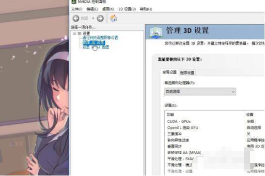 NVIDIA设置面板管理3D设置选项界面