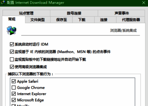 IDM选项常规对话框页面