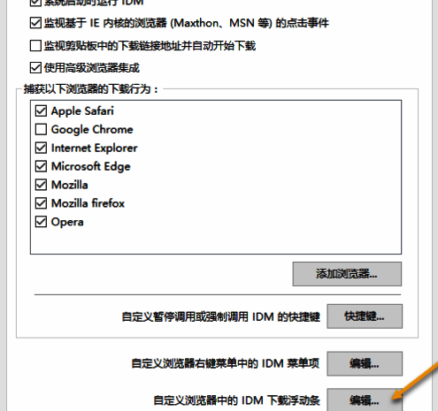 自定义浏览器中IDM下载浮动条编辑按钮页面