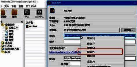 粘贴链接并重新下载操作图