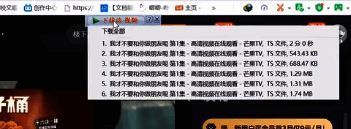 点击IDM下载器选择资源的界面