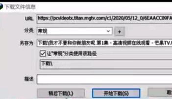设置下载文件名和保存目录并开始下载的界面