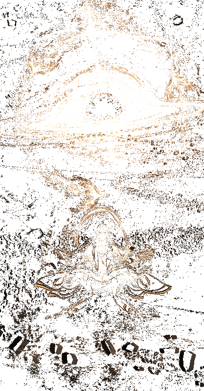 五行转场动态展示