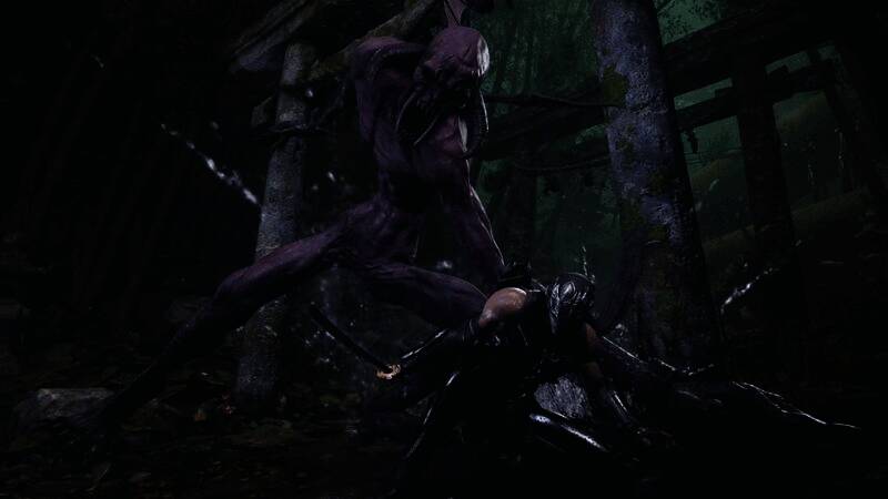 《忍者龙剑传4》游戏截图5