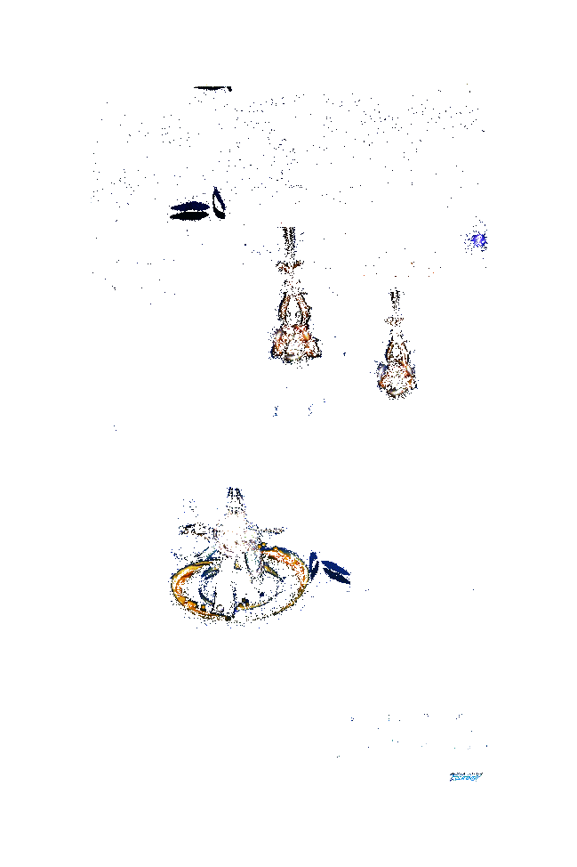 《阴阳师》黑童子新皮肤动态展示图5