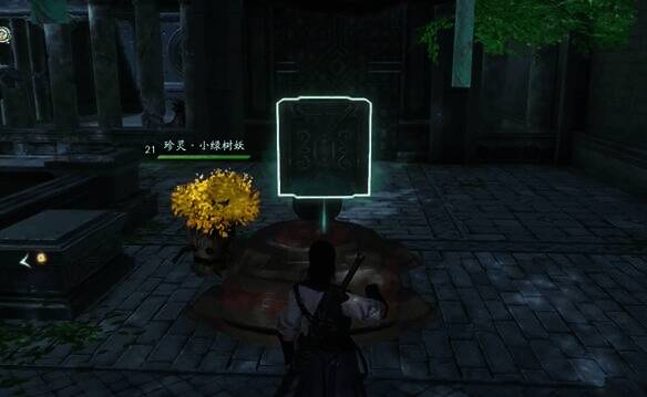 石头放在乌龟背上的场景