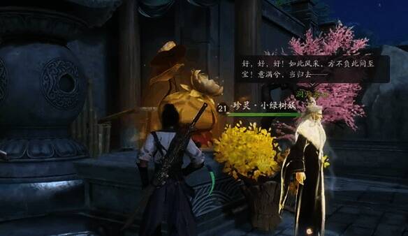 洞天老人的场景