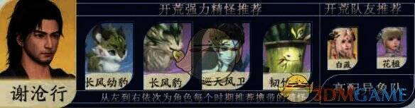 阵容十三展示图