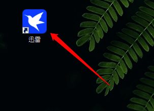 打开迅雷11的界面图