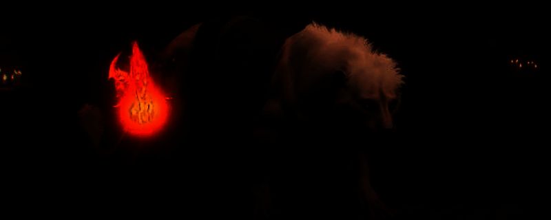 暗黑破坏神4游戏画面