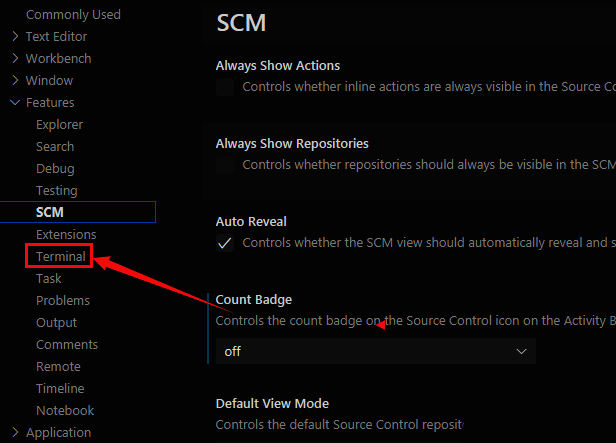 vscode 设置面板 Terminal 选项界面图片