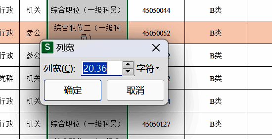 手动调整列宽对话框示例图