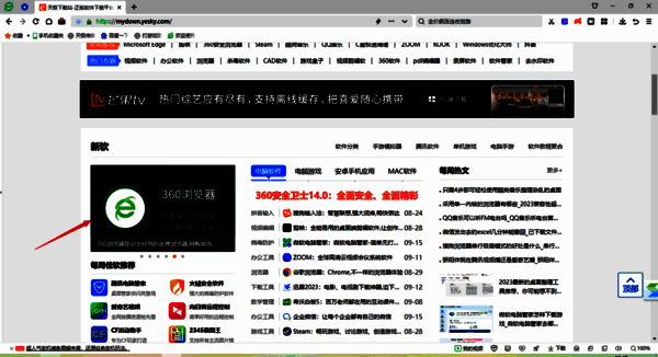 将鼠标光标放在图片上的页面展示