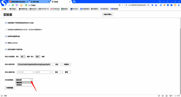 搜狗浏览器内核选项策略设置截图