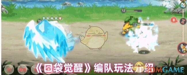 口袋觉醒游戏相关画面