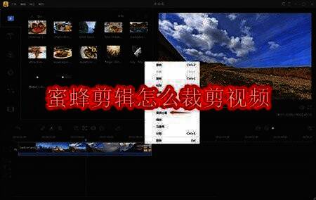蜜蜂剪辑相关配图1
