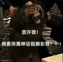 《黑神话:悟空》相关图片11