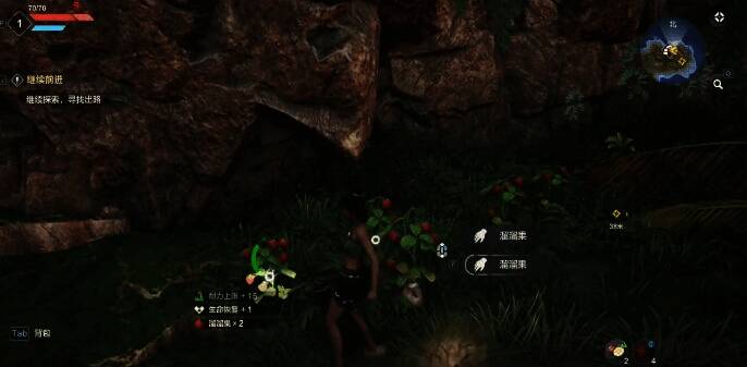 采集溜溜果画面