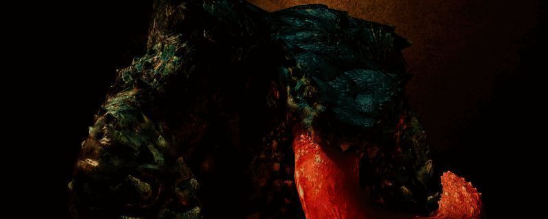 《怪物猎人:荒野》游戏相关图片