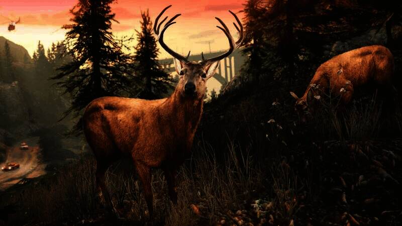 《给他爱5》增强版游戏截图4