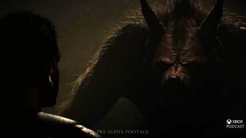 《神鬼寓言 4》实机视频截图5