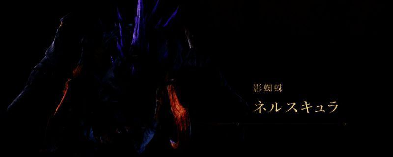 影蜘蛛相关图片