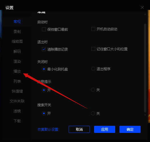 设置窗口中左侧播放选项界面图
