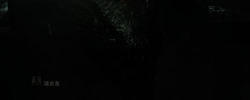 《怪物猎人：荒野》中波衣龙的相关画面