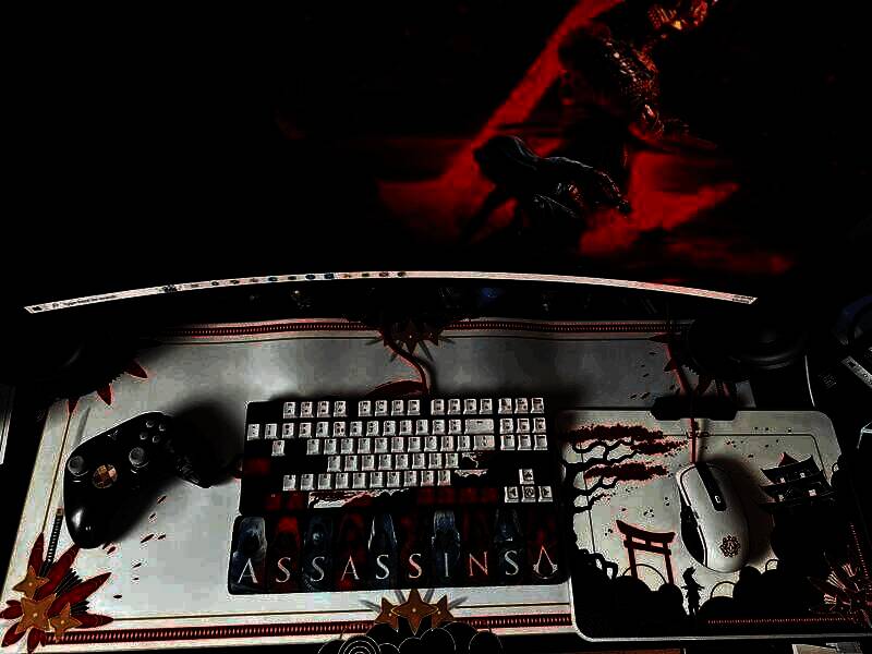 《刺客信条:影》宣传画面4