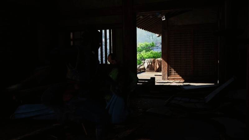 《刺客信条:影》血腥斩首画面