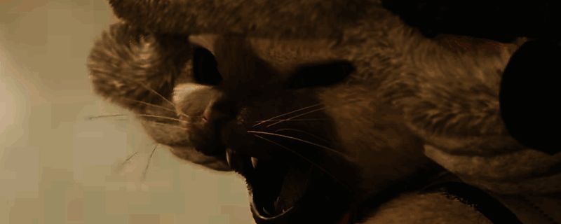 《怪物猎人：荒野》相关图片 1