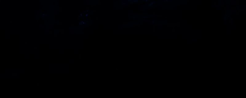 《怪物猎人：荒野》相关游戏画面1