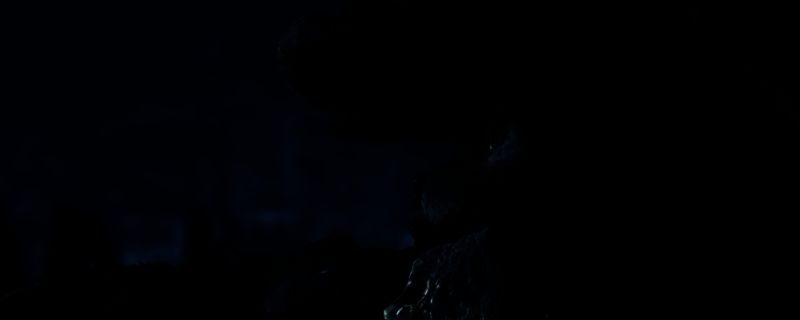 《怪物猎人:荒野》相关画面1