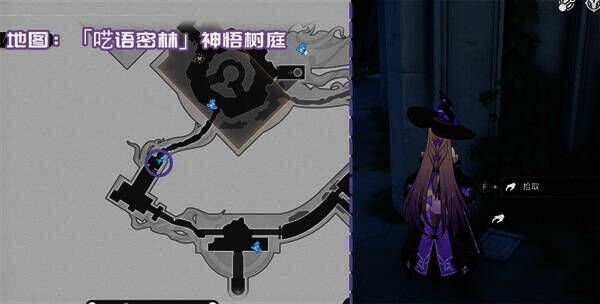 曳石学派新人健身指南相关图片