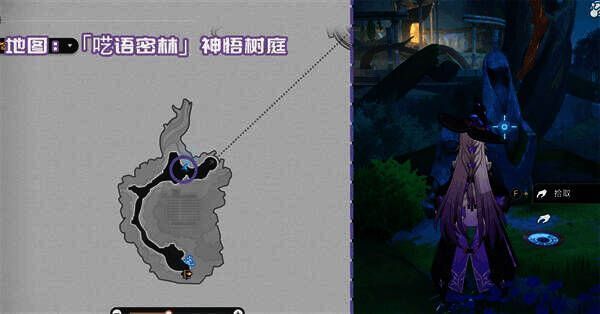 未寄出的树庭定期报告相关图片