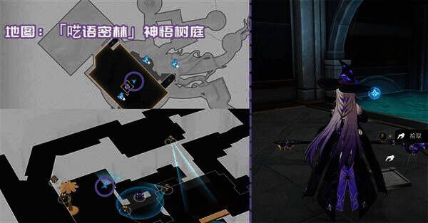 树庭植物的导引石板摘相关图片