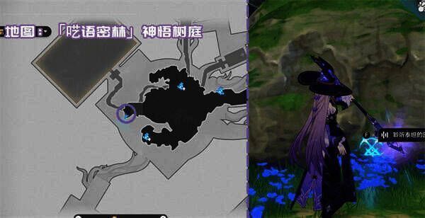 神性回响：理性相关图片