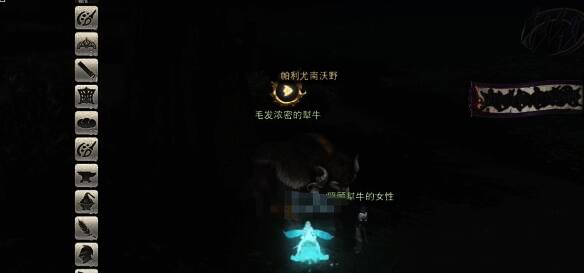 与毛发浓密的犎牛互动场景