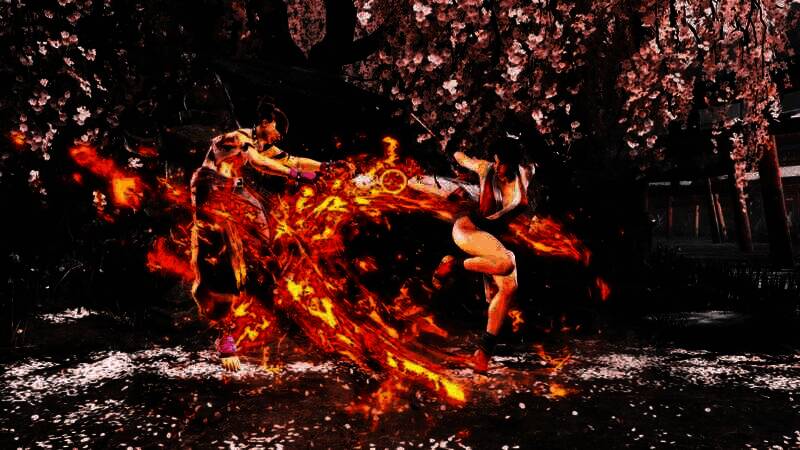 不知火舞贺图或截图之八