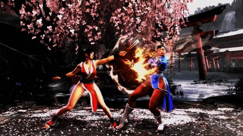 不知火舞战斗视频截图2