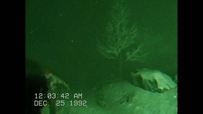 《KLAWS》游戏相关画面3