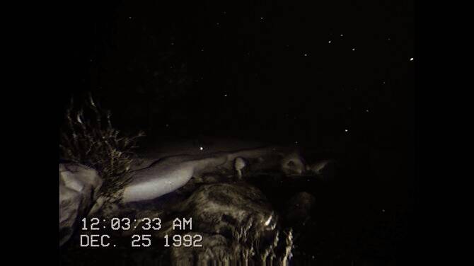 《KLAWS》游戏相关画面4